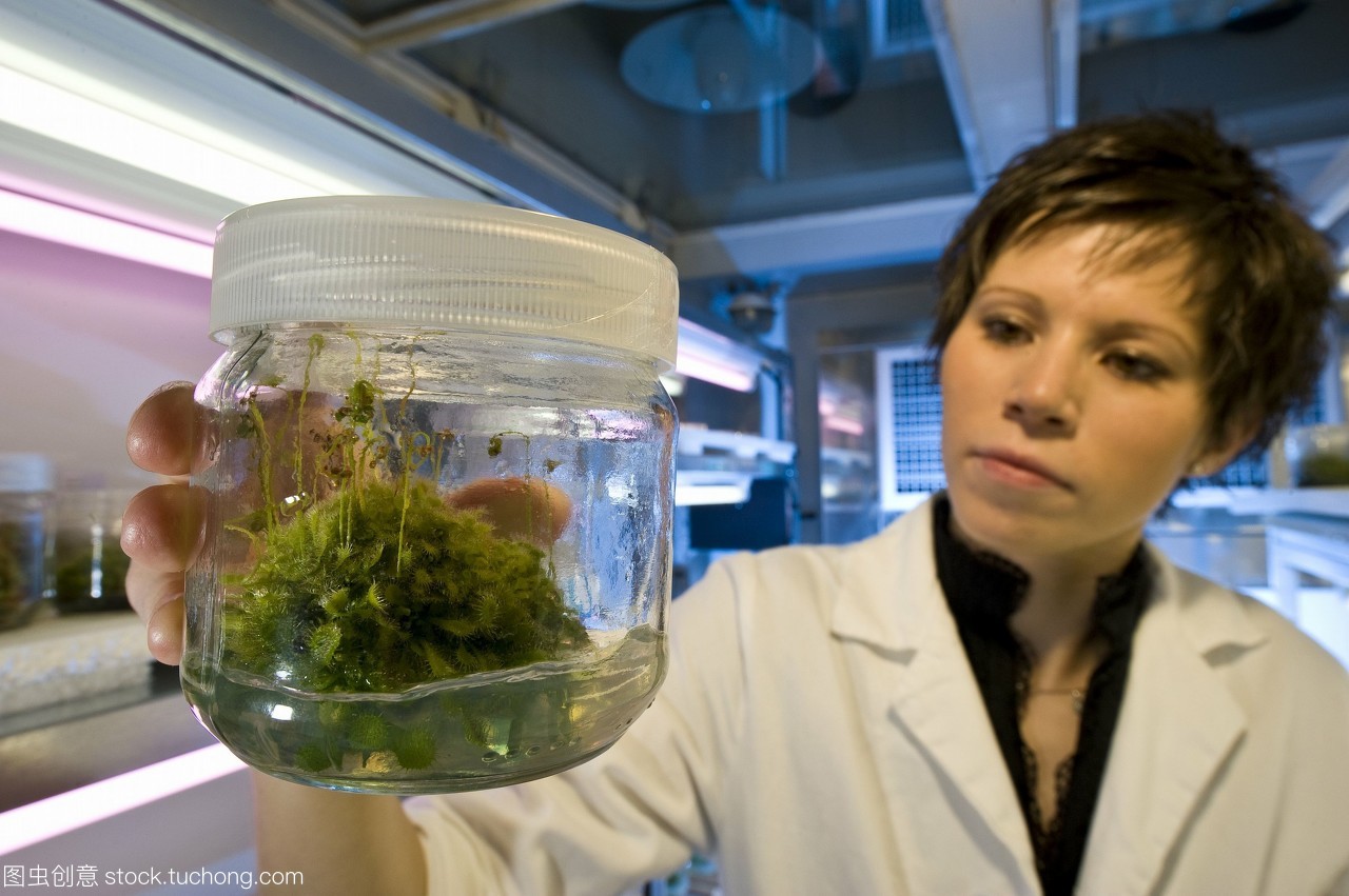 植物遺傳學研究 食肉植物消化液在人類重組蛋白生產中的應用