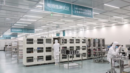 張家口的風，點亮北京的燈——海歸青年在綠色能源浪潮中顯身手